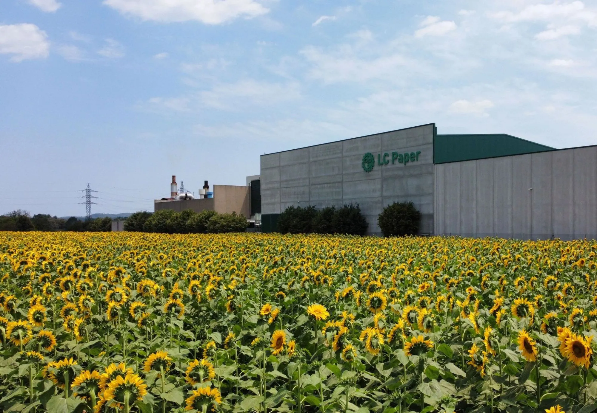 Fàbrica de LC Paper envoltada d'un camp de gira-sols